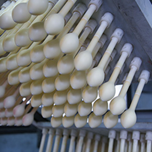 Molds’ Cleaning