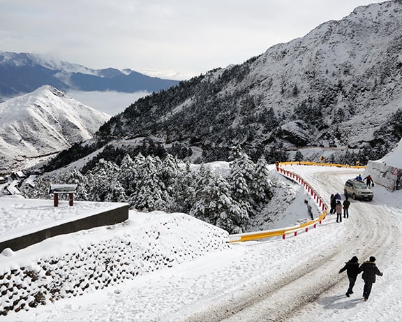 合歡山國家森林遊樂區